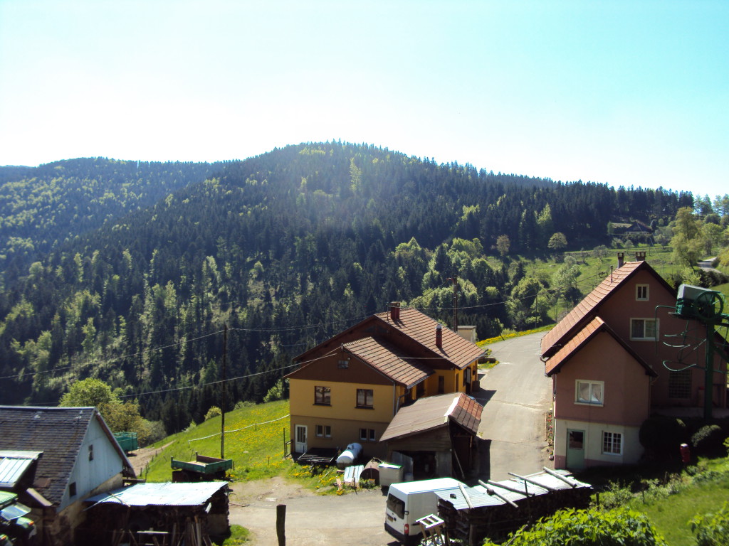 004 | La Graine Johé Une ferme auberge familiale Sainte-Marie-aux-Mines