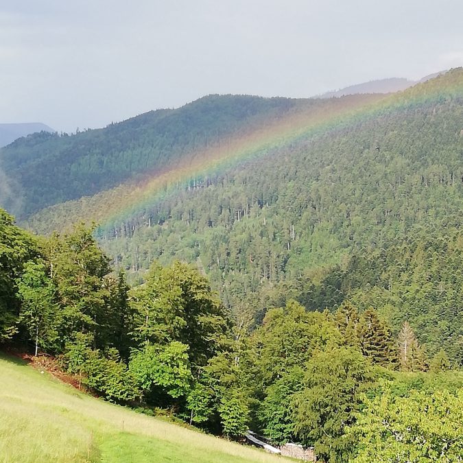 Petite ballade autour des cols Turckheim 1