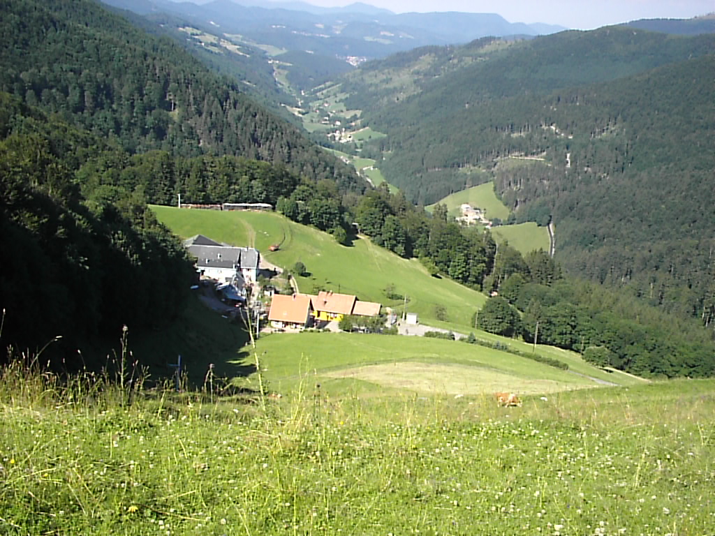 S2500531 | La Graine Johé Tourisme aux alentours de Kaysersberg, Sainte-Marie-aux-Mines et Colmar Munster