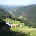 S2500532 150X150 | La Graine Johé Bienvenue à La Ferme Auberge “La Graine Johé” Ingersheim 1