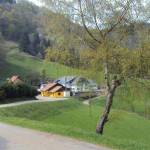 Bienvenue à La Ferme Auberge &#8220;La Graine Johé&#8221; Munster 0