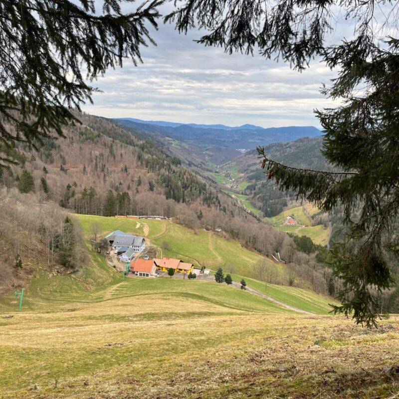 Photos pied de page Ingersheim 1
