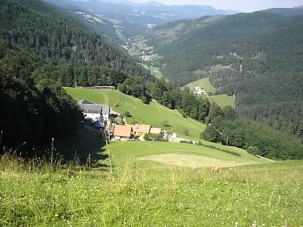 Tourisme aux alentours de Kaysersberg, Sainte-Marie-aux-Mines et Colmar Munster