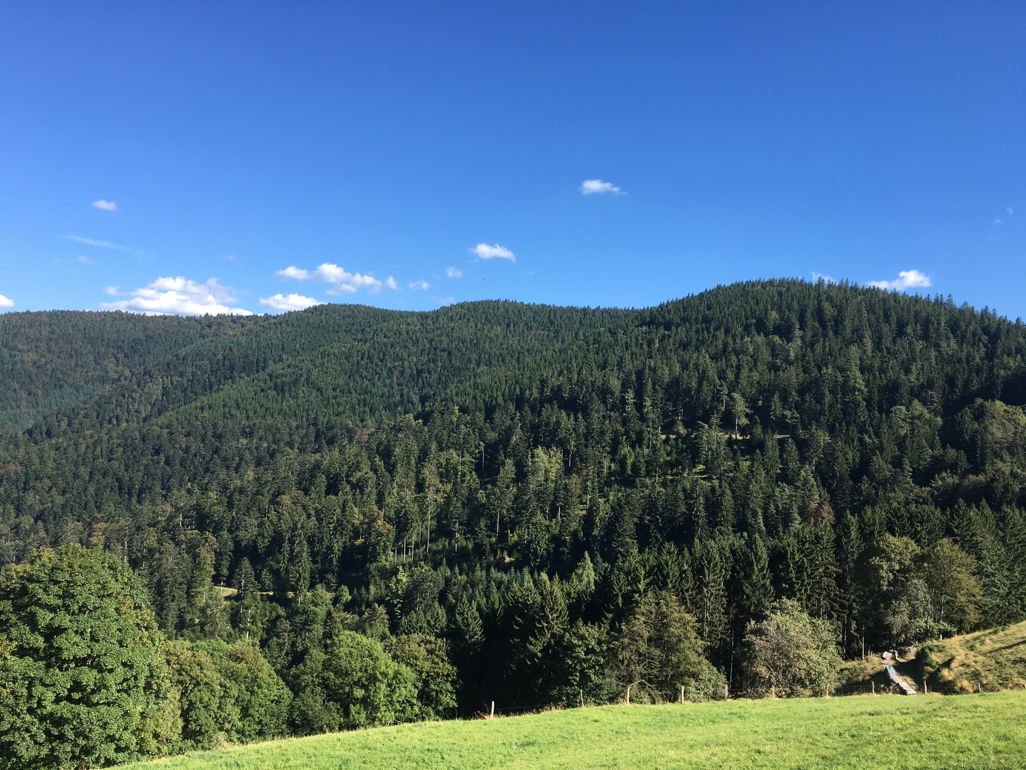 IMG_1565 | La Graine Johé Une ferme auberge idéalement située : tourisme, randonnées, ski… Turckheim