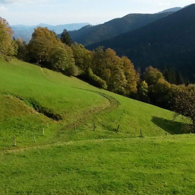 Eté&#8230; Anould 10