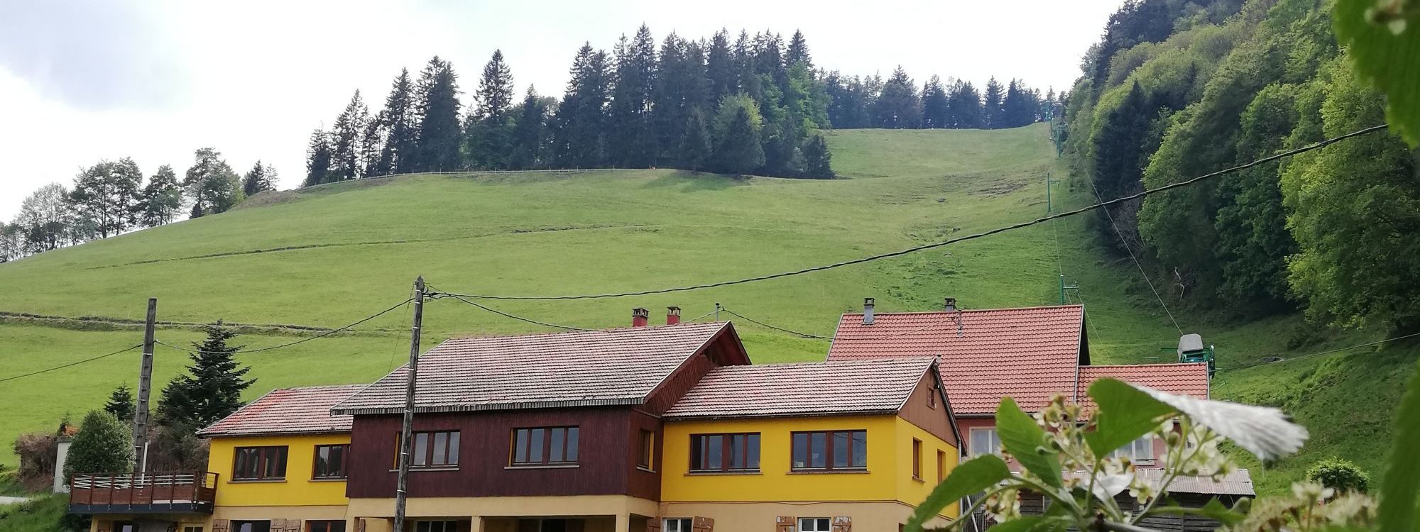 IMG_20200515_160334 2000X750 | La Graine Johé La Graine Johé est dans L’Obs ! Sainte-Marguerite