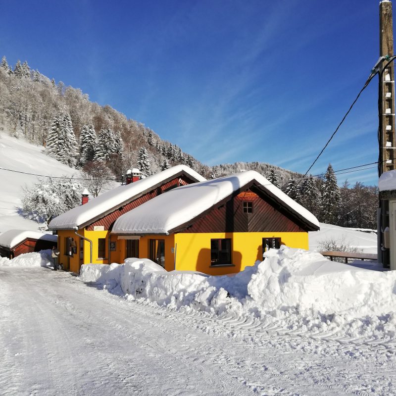 IMG_20210116_101521 800X800 | La Graine Johé Photos page d’accueil Fraize 2