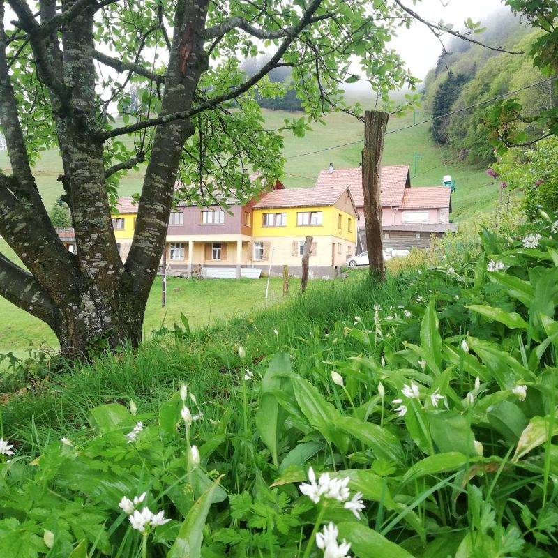 Photos page d&#8217;accueil Anould 6